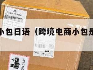 跨境电商小包日语（跨境电商小包是什么意思）