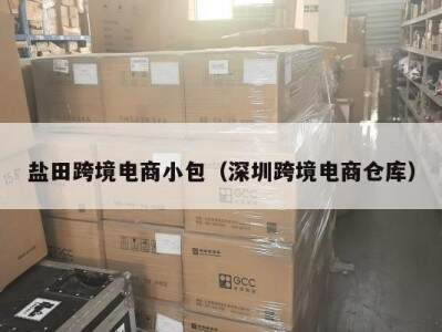 盐田跨境电商小包（深圳跨境电商仓库）