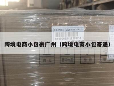 跨境电商小包裹广州（跨境电商小包寄递）