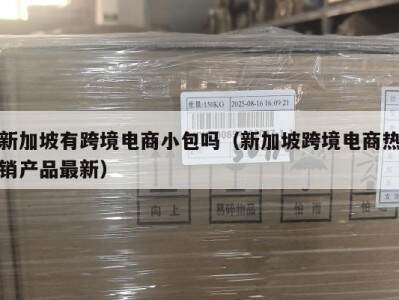 新加坡有跨境电商小包吗（新加坡跨境电商热销产品最新）