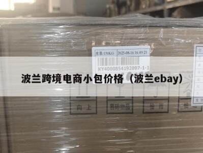 波兰跨境电商小包价格（波兰ebay）