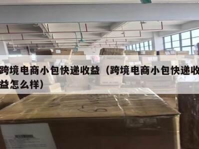 跨境电商小包快递收益（跨境电商小包快递收益怎么样）