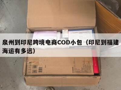 泉州到印尼跨境电商COD小包（印尼到福建海运有多远）