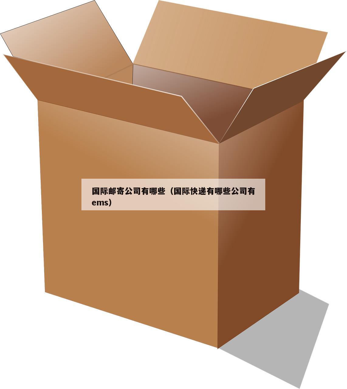 国际邮寄公司有哪些（国际快递有哪些公司有ems）