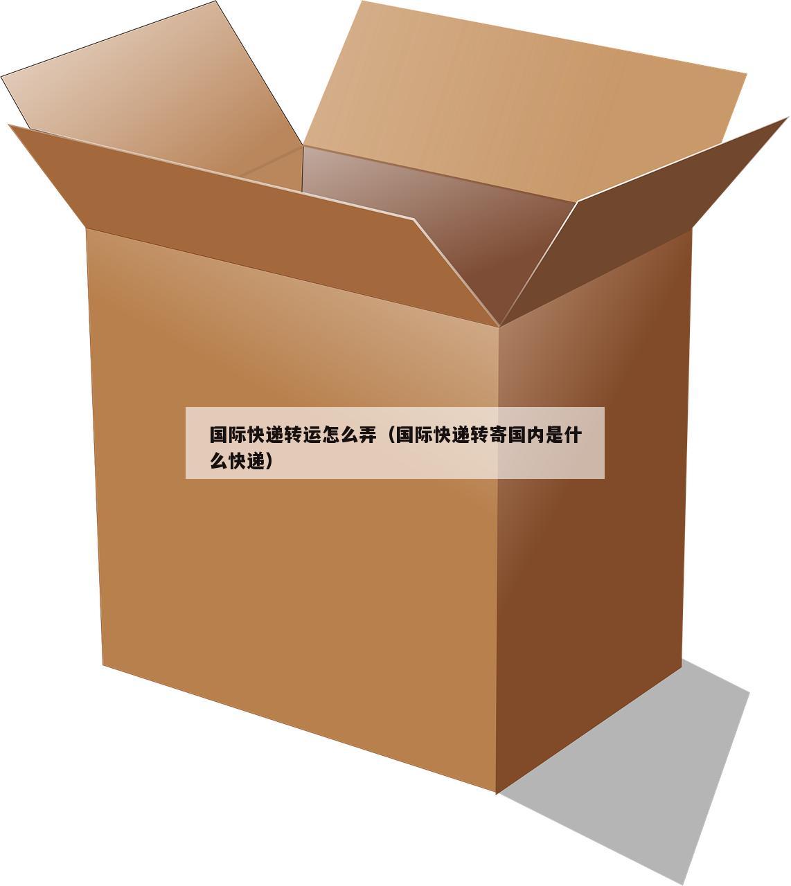 国际快递转运怎么弄（国际快递转寄国内是什么快递）