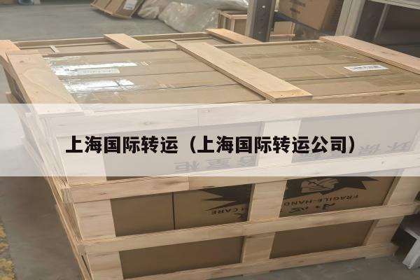 上海国际转运（上海国际转运公司）