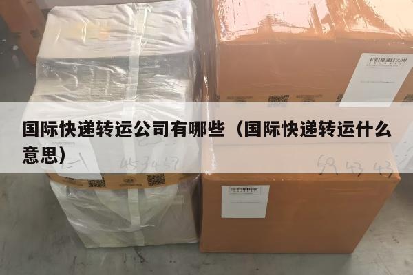 国际快递转运公司有哪些（国际快递转运什么意思）