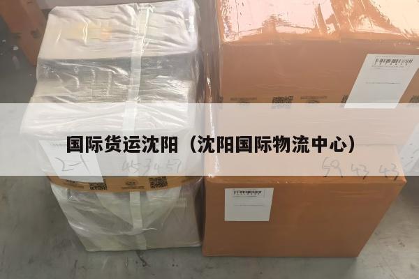 国际货运沈阳（沈阳国际物流中心）