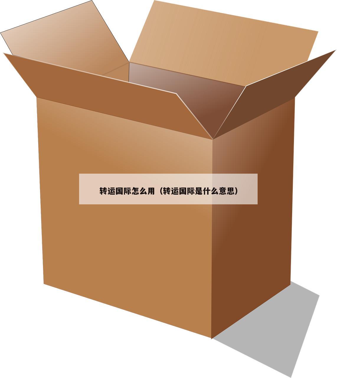 转运国际怎么用（转运国际是什么意思）
