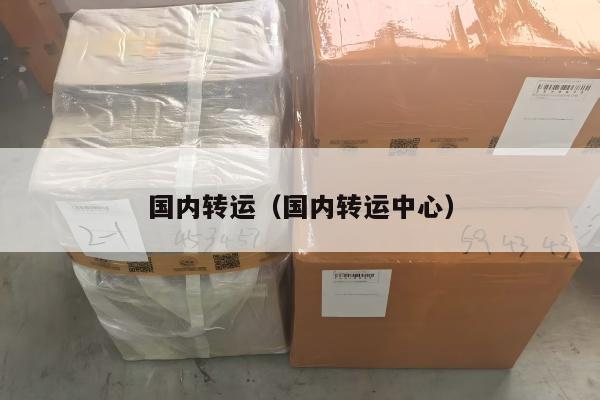 国内转运（国内转运中心）