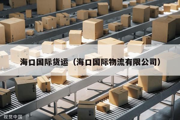 海口国际货运（海口国际物流有限公司）