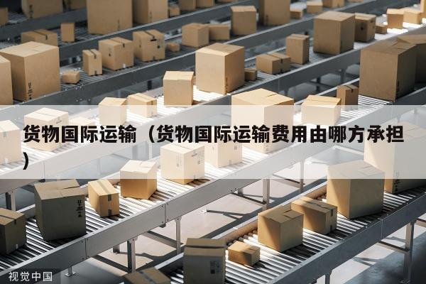 货物国际运输（货物国际运输费用由哪方承担）