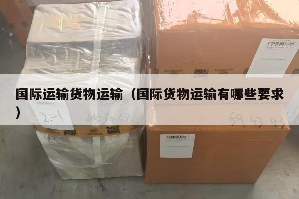 国际运输货物运输（国际货物运输有哪些要求）