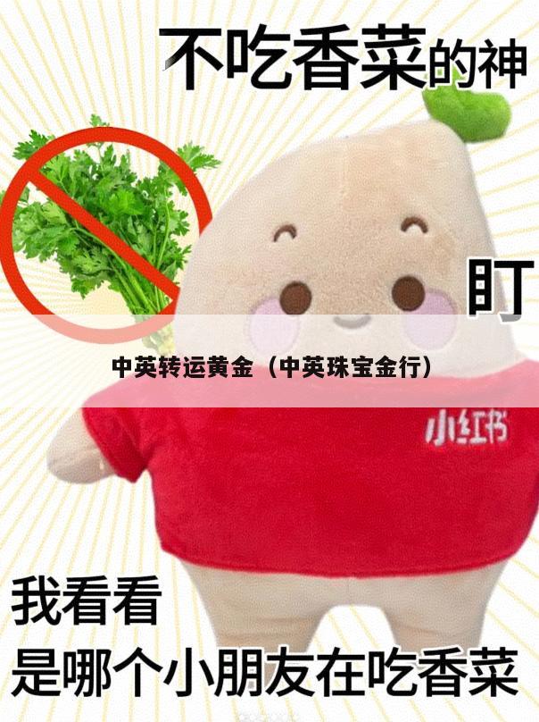 中英转运黄金（中英珠宝金行）