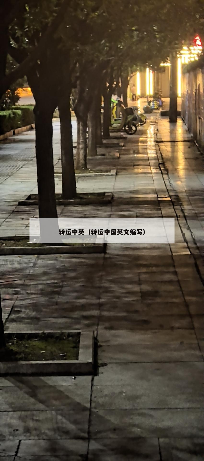 转运中英（转运中国英文缩写）