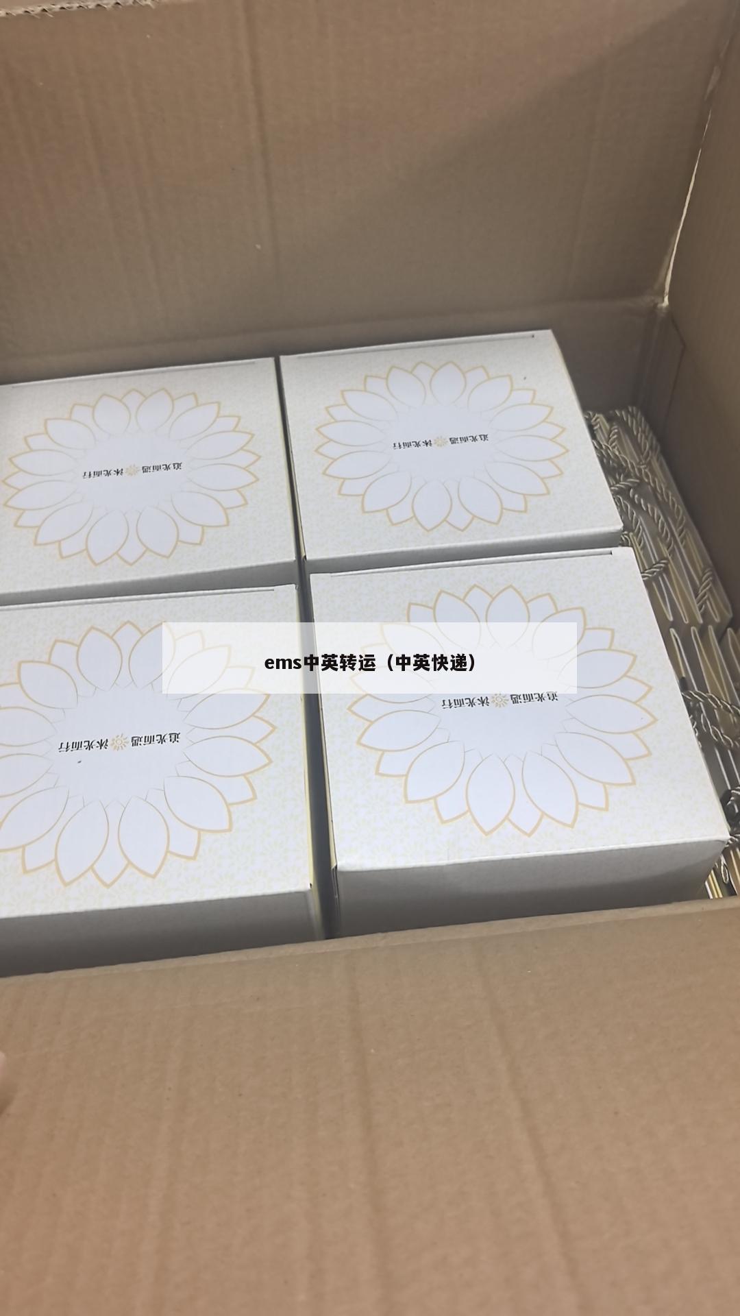 ems中英转运（中英快递）