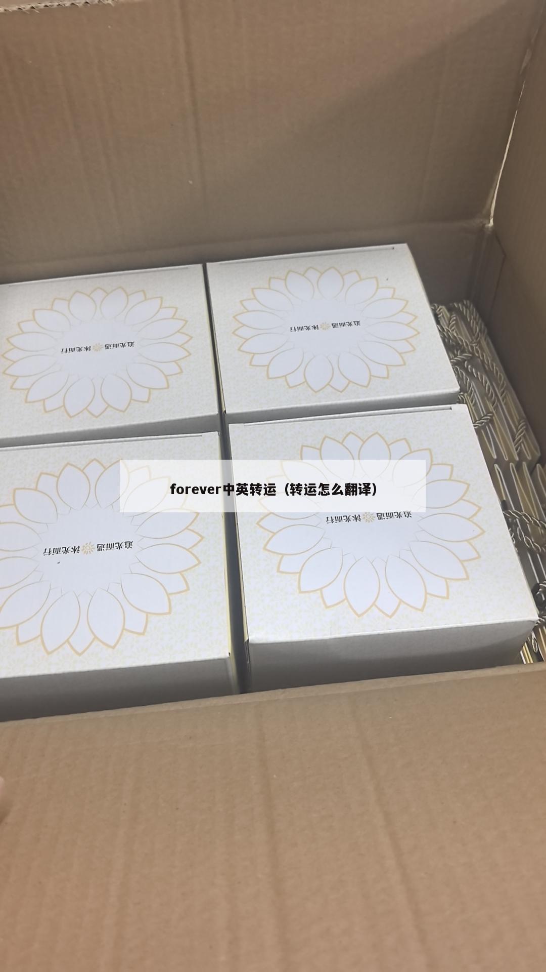 forever中英转运（转运怎么翻译）