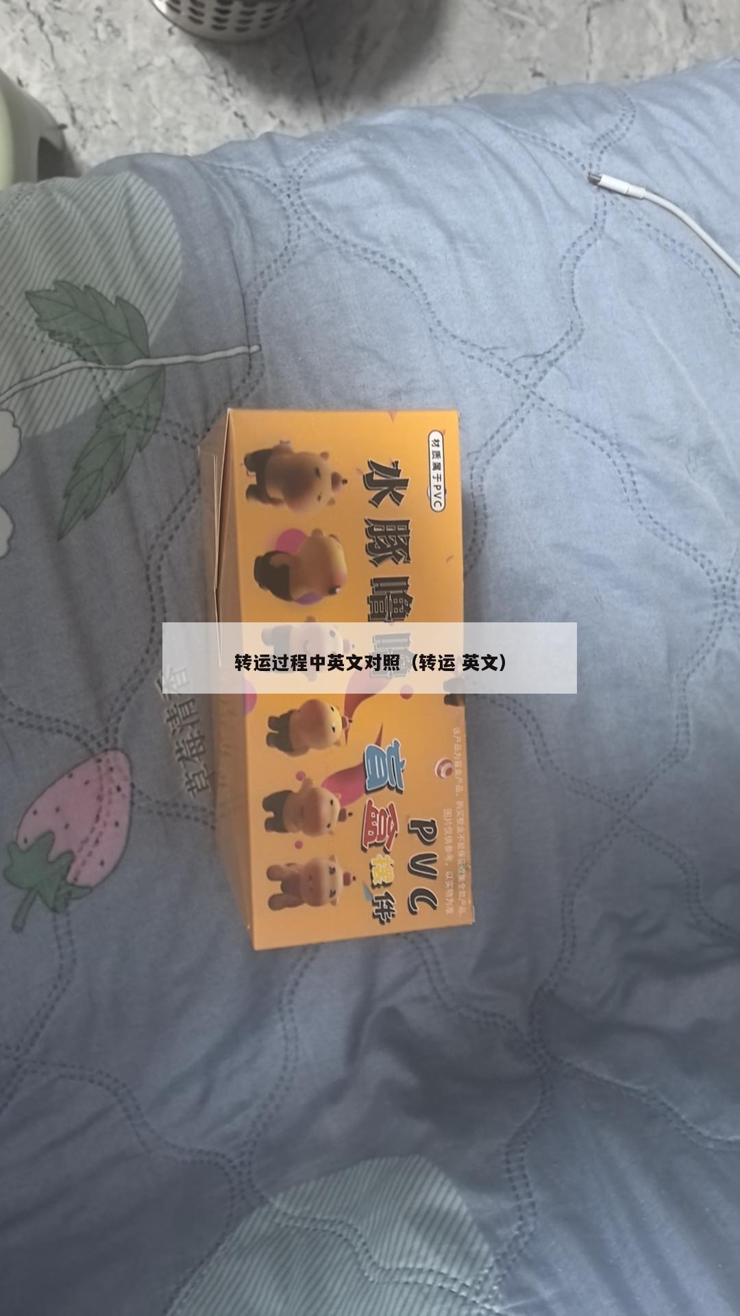 转运过程中英文对照（转运 英文）