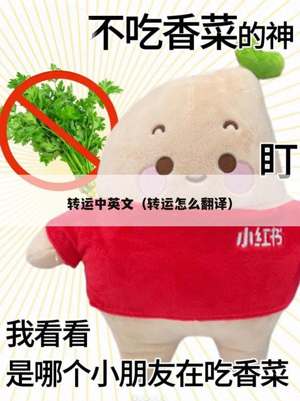 转运中英文（转运怎么翻译）
