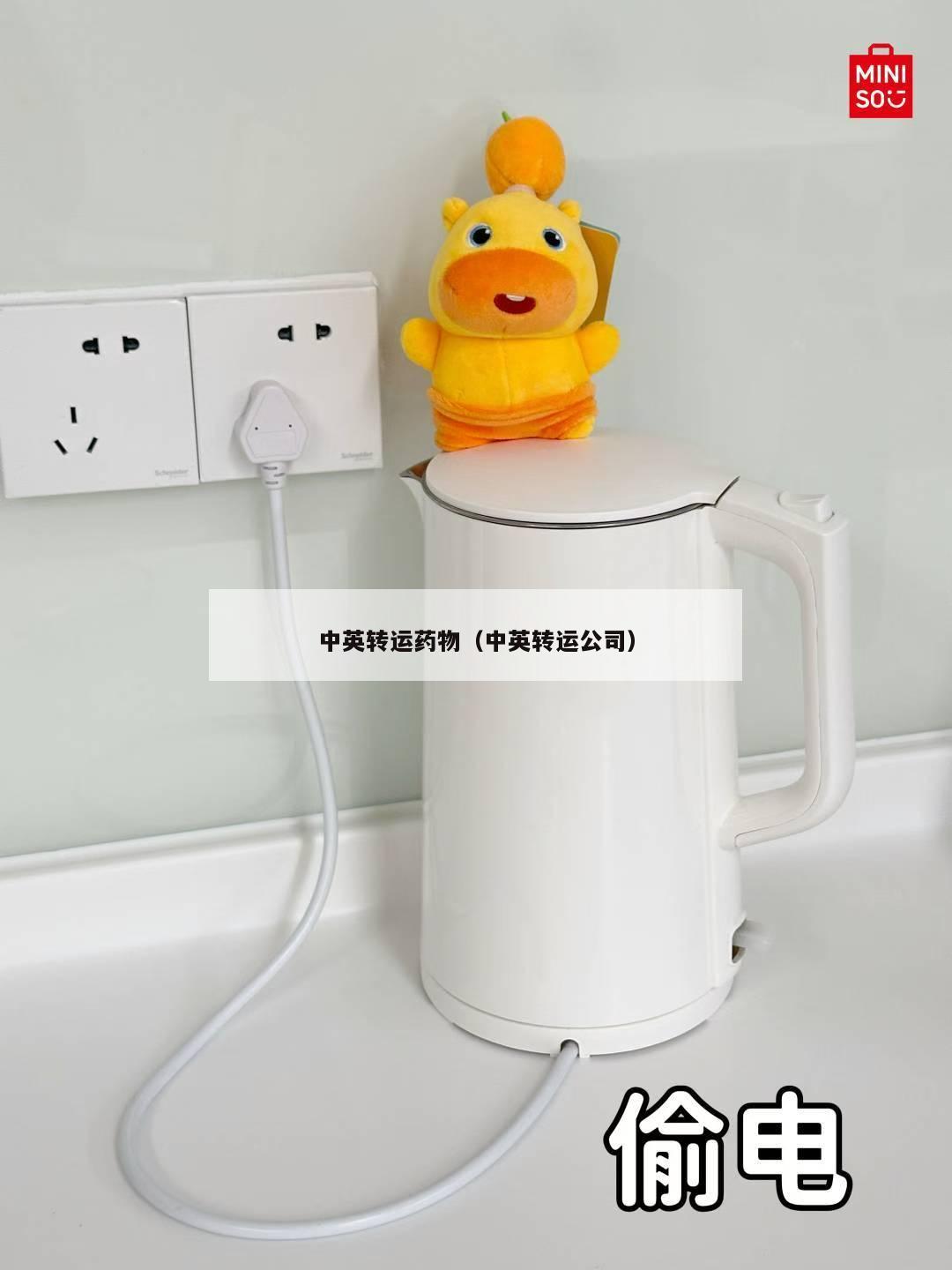 中英转运药物（中英转运公司）