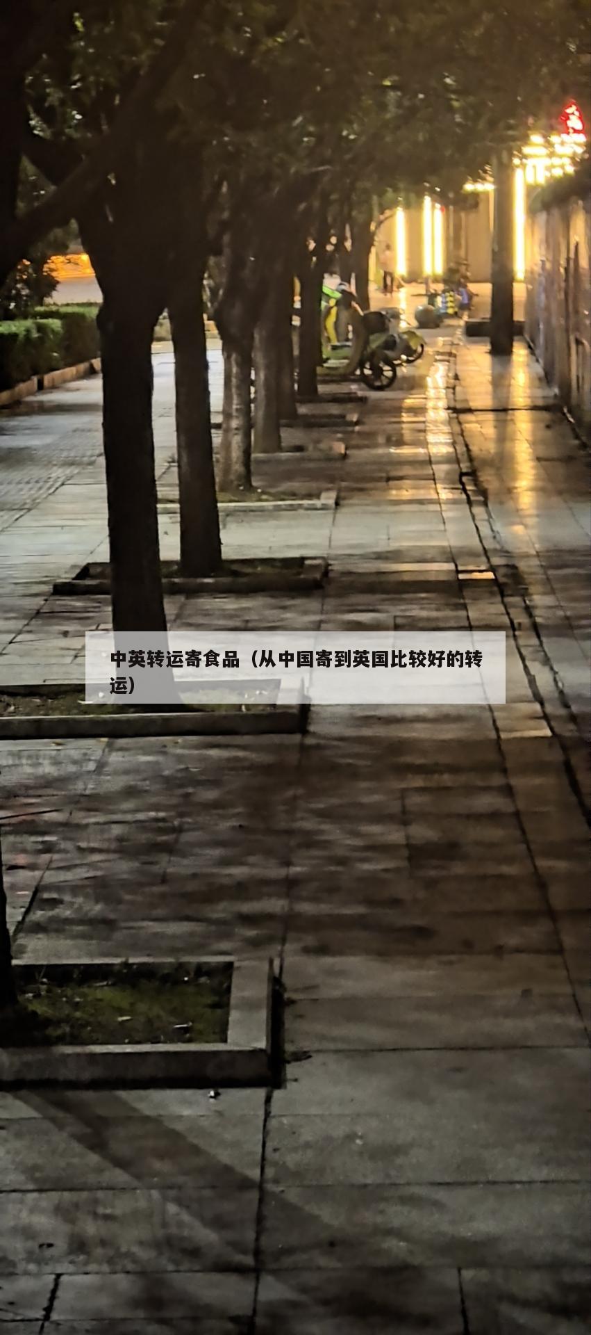 中英转运寄食品（从中国寄到英国比较好的转运）