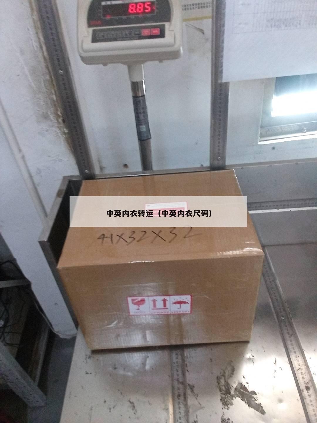 中英内衣转运（中英内衣尺码）