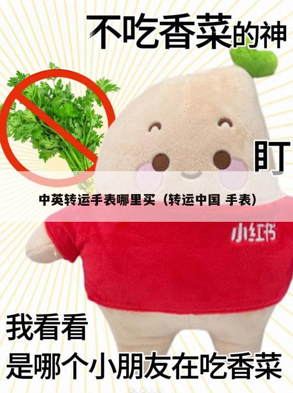 中英转运手表哪里买（转运中国 手表）