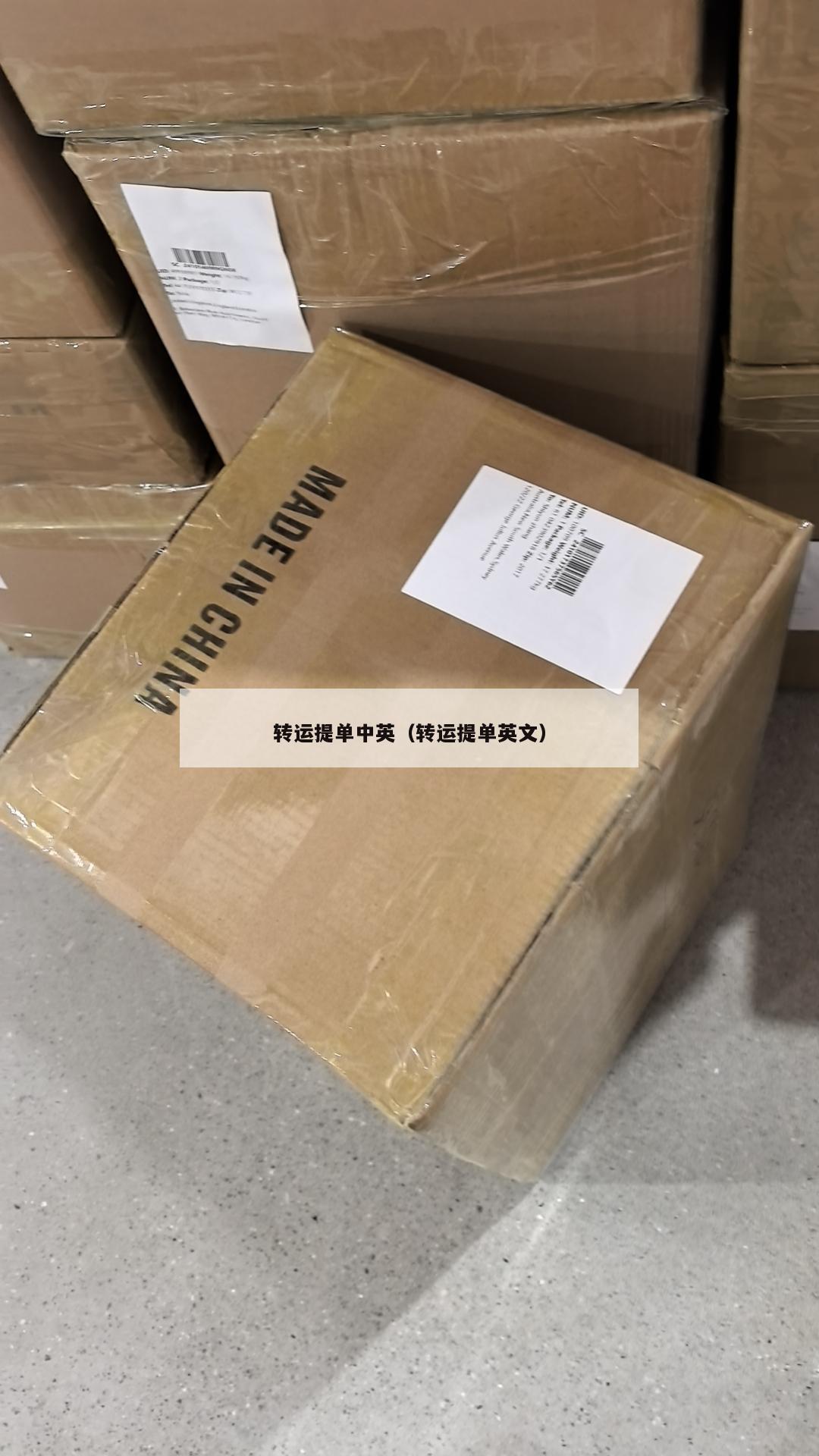 转运提单中英（转运提单英文）