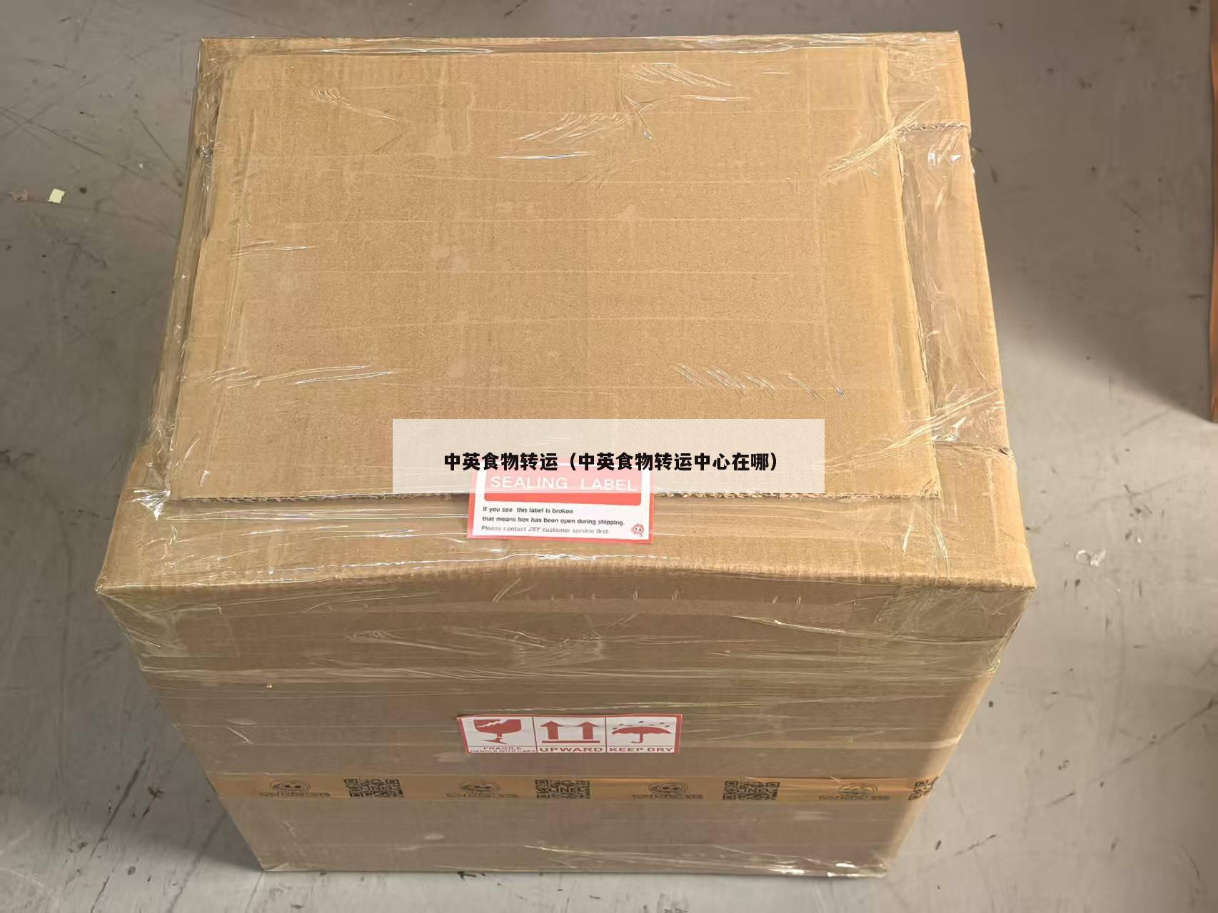 中英食物转运（中英食物转运中心在哪）