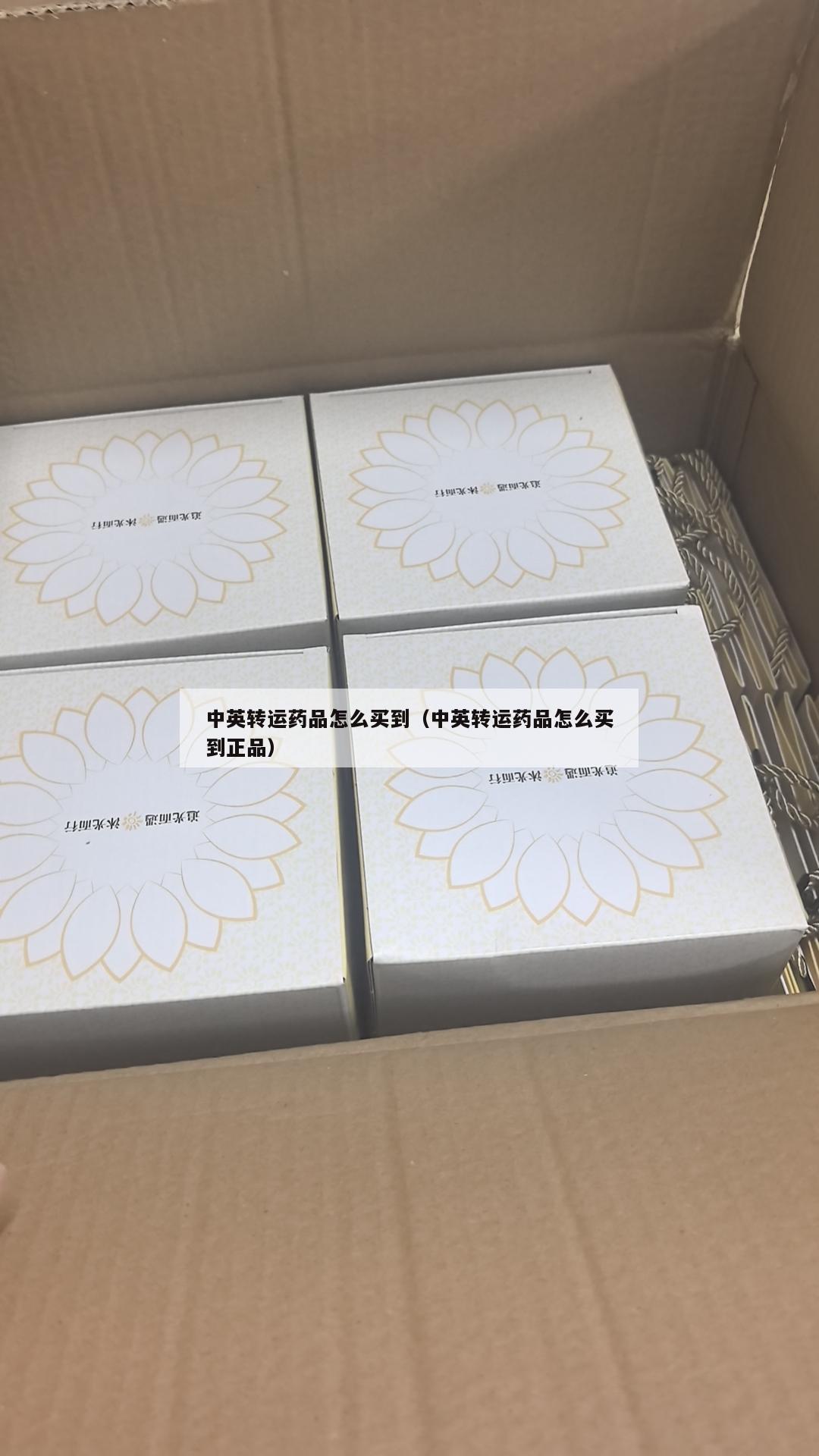 中英转运药品怎么买到（中英转运药品怎么买到正品）