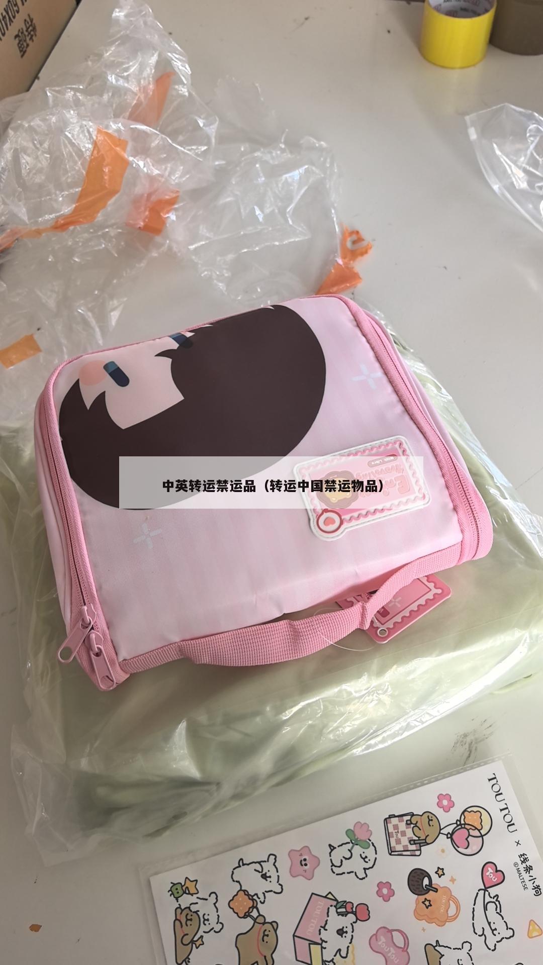 中英转运禁运品（转运中国禁运物品）