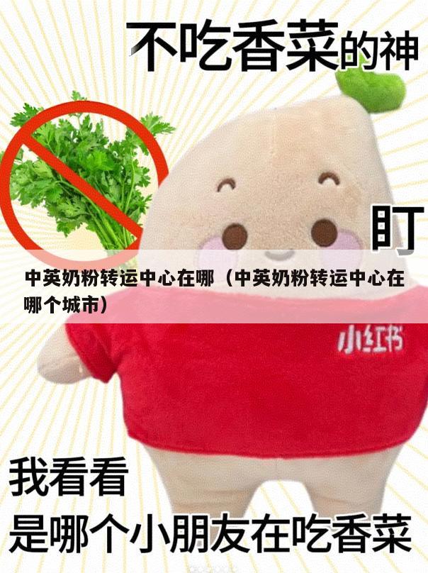 中英奶粉转运中心在哪（中英奶粉转运中心在哪个城市）
