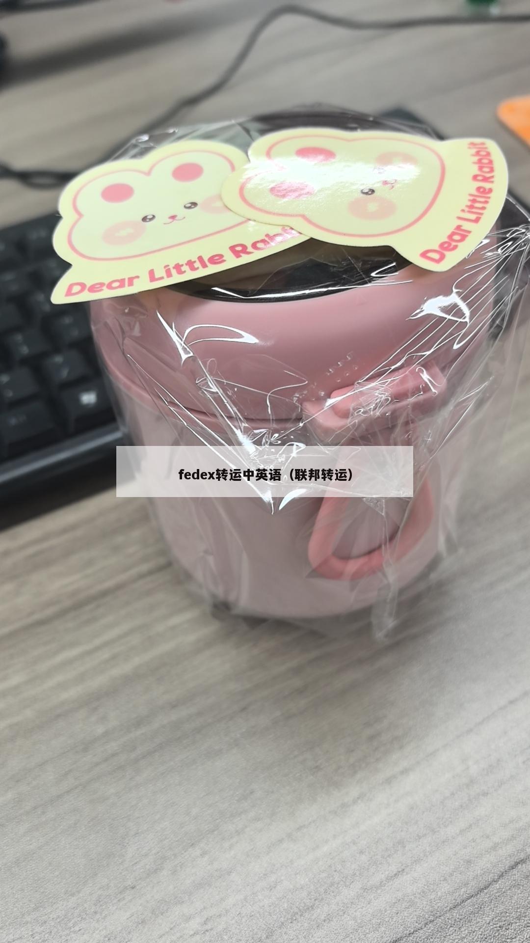fedex转运中英语（联邦转运）