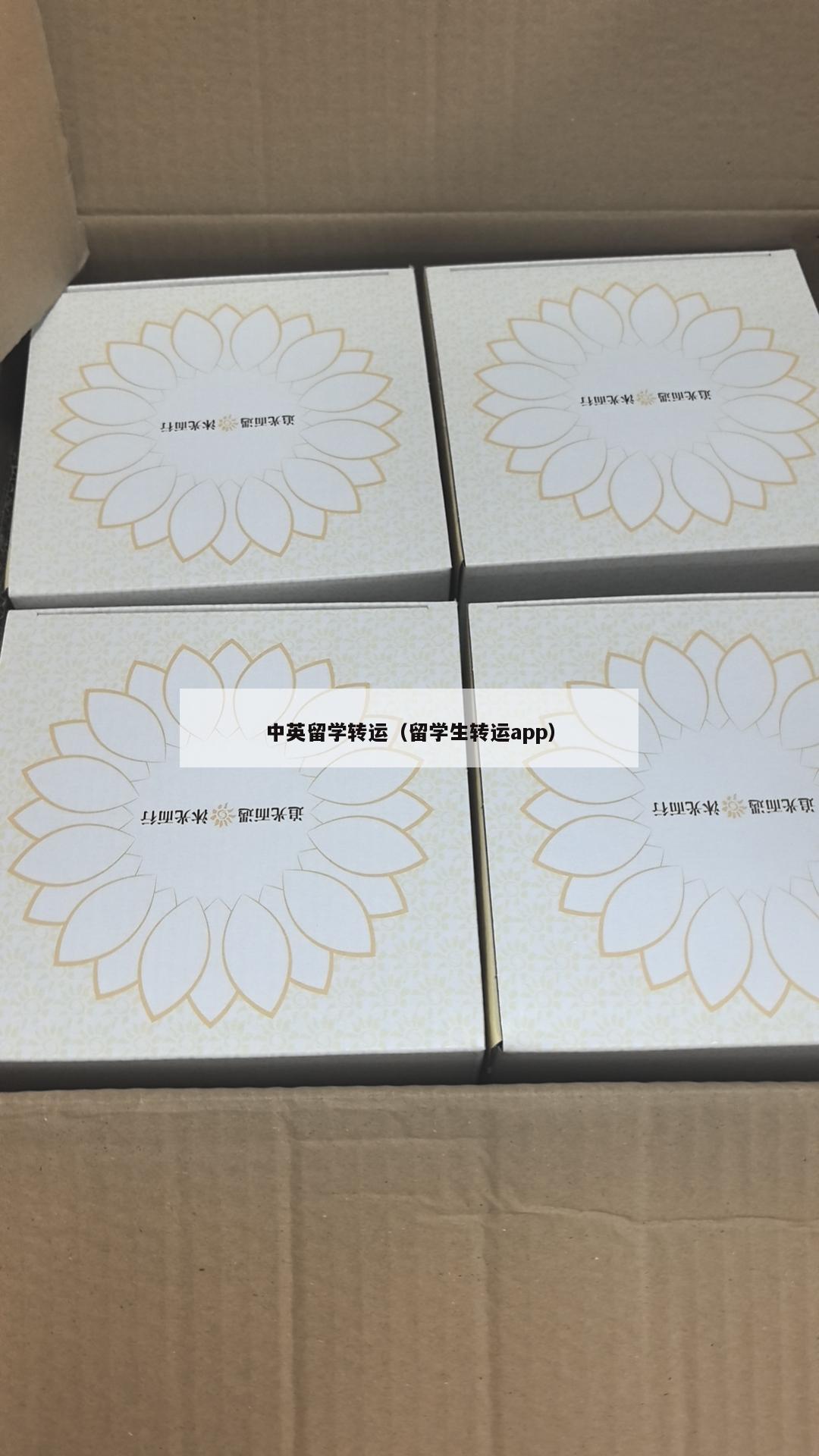 中英留学转运（留学生转运app）