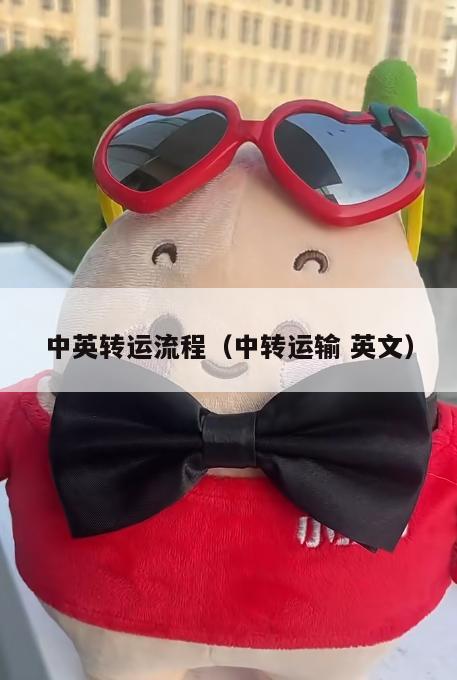 中英转运流程（中转运输 英文）