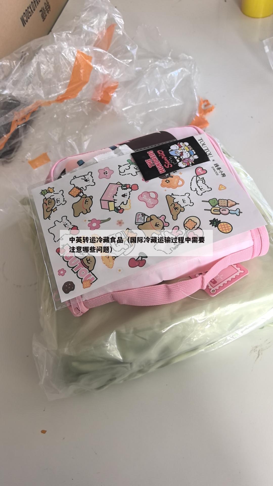 中英转运冷藏食品（国际冷藏运输过程中需要注意哪些问题）