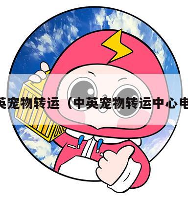 中英宠物转运（中英宠物转运中心电话）