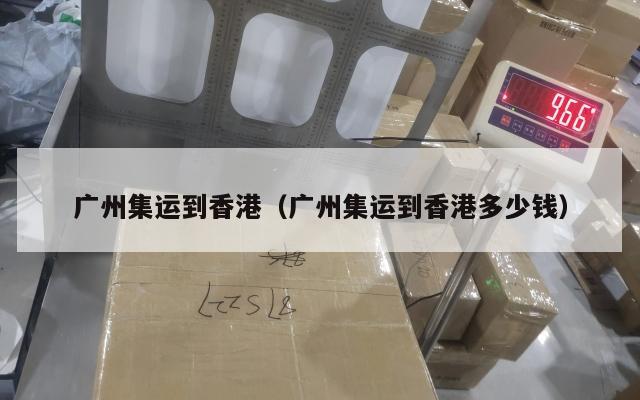 广州集运到香港（广州集运到香港多少钱）