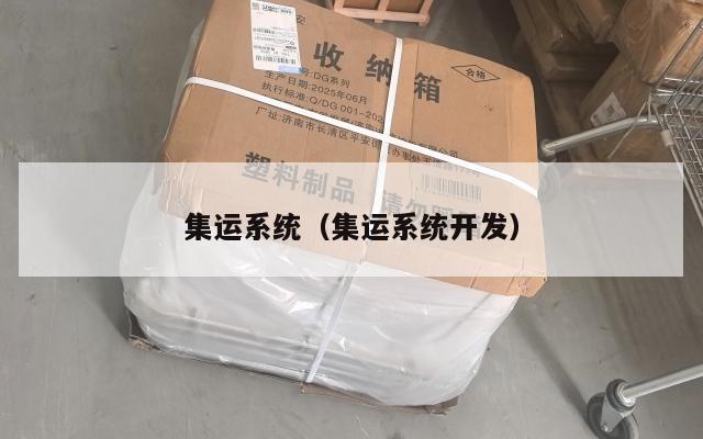 集运系统（集运系统开发）