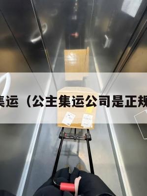 公主集运（公主集运公司是正规的吗）