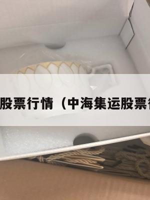 中海集运股票行情（中海集运股票行情今天）