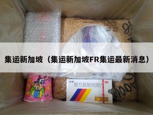 集运新加坡（集运新加坡FR集运最新消息）