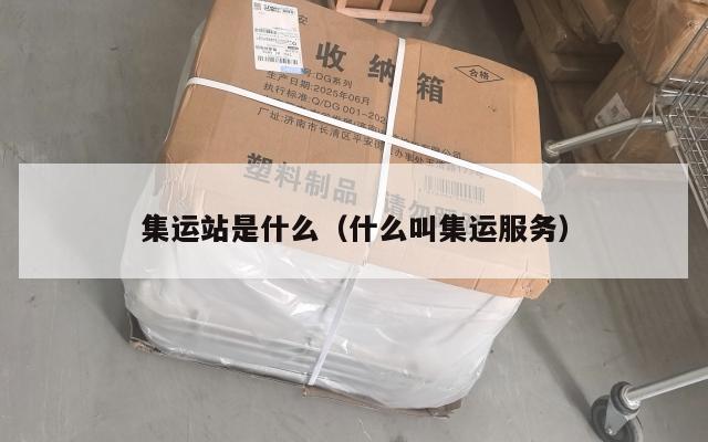 集运站是什么（什么叫集运服务）
