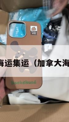 加拿大海运集运（加拿大海运公司）