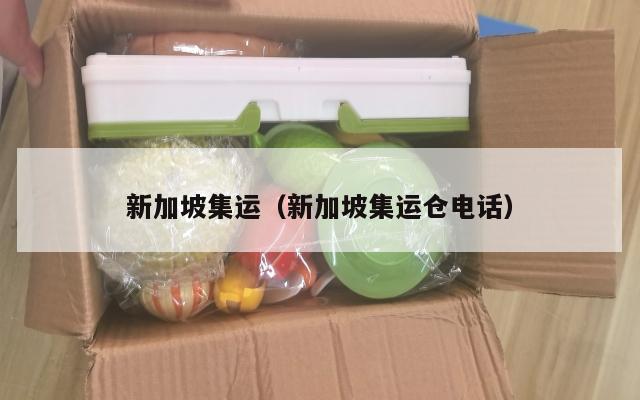 新加坡集运（新加坡集运仓电话）