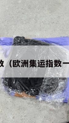 欧洲集运指数（欧洲集运指数一个点多少钱）