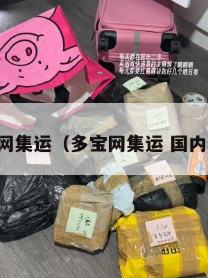 多宝网集运(多宝网集运 国内地址)