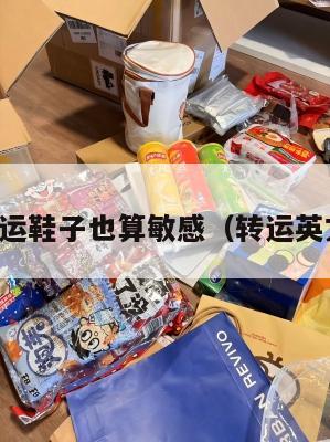 中英转运鞋子也算敏感(转运英文翻译)