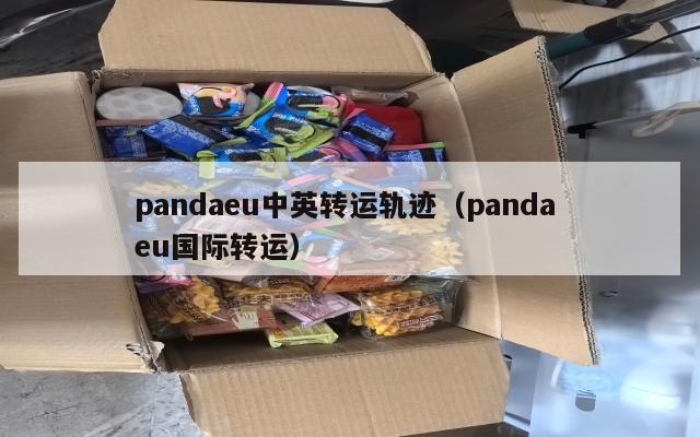 pandaeu中英转运轨迹（panda eu国际转运）