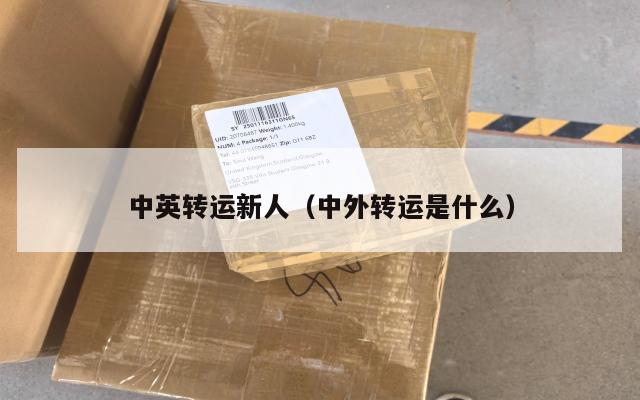 中英转运新人（中外转运是什么）